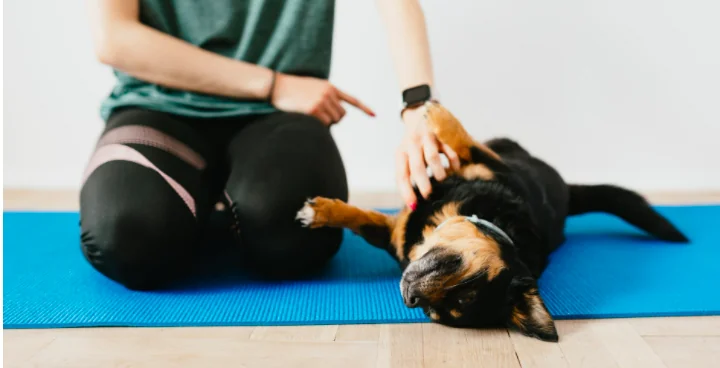 Gli animali allontanano lo stress